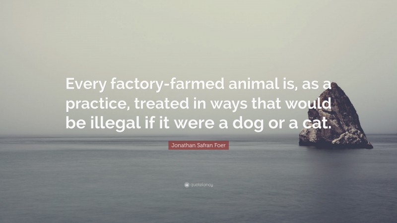 Jonathan Safran Foer Quote: “Every factory-farmed animal is, as a practice, treated in ways that would be illegal if it were a dog or a cat.”
