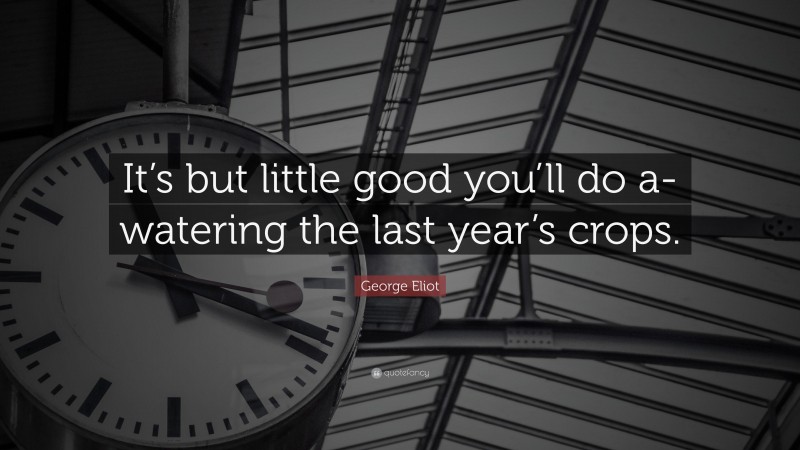 George Eliot Quote: “It’s but little good you’ll do a-watering the last year’s crops.”