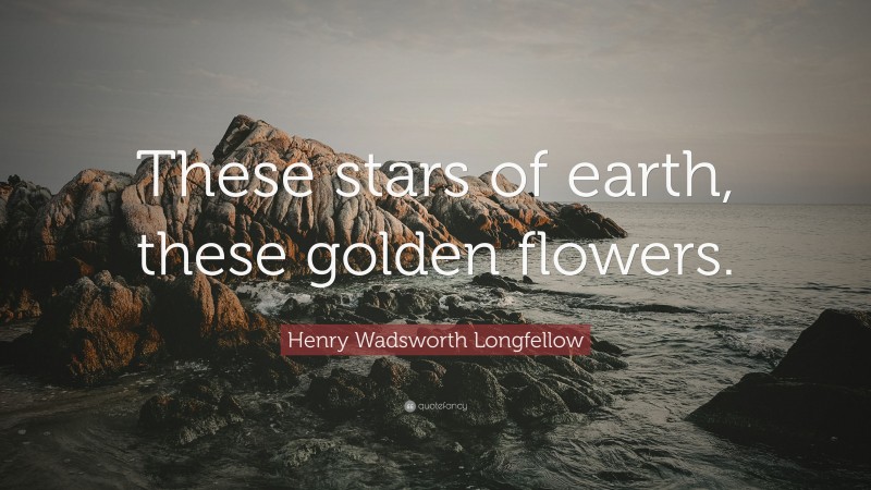 Henry Wadsworth Longfellow Quote: “These stars of earth, these golden flowers.”