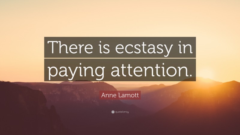 Anne Lamott Quote: “There is ecstasy in paying attention.”