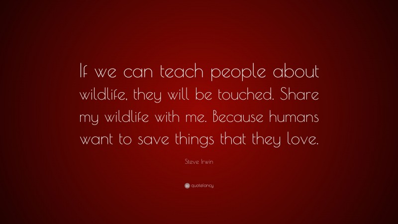 Steve Irwin Quote: “If we can teach people about wildlife, they will be touched. Share my wildlife with me. Because humans want to save things that they love.”