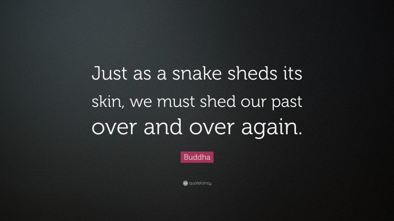 Buddha Quote: “Just as a snake sheds its skin, we must shed our past over and over again.”