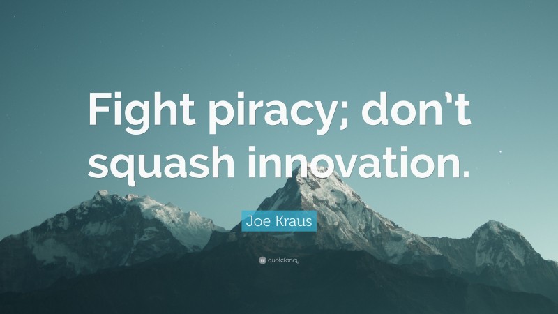 Joe Kraus Quote: “Fight piracy; don’t squash innovation.”