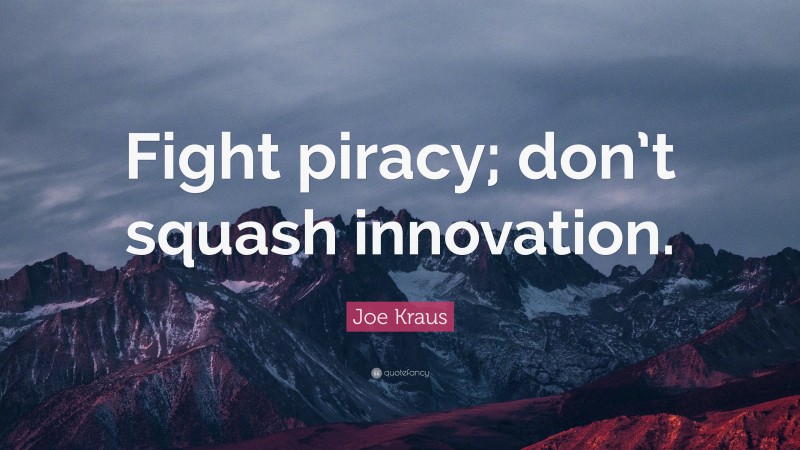 Joe Kraus Quote: “Fight piracy; don’t squash innovation.”