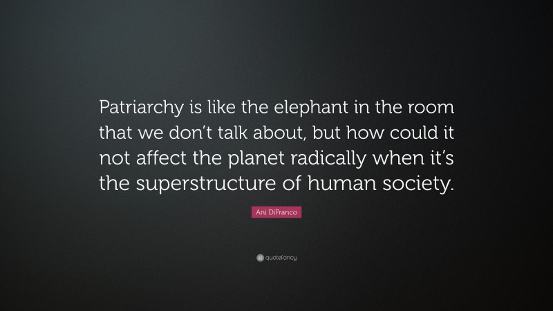 Ani DiFranco Quote: “Patriarchy is like the elephant in the room that we don’t talk about, but how could it not affect the planet radically when it’s the superstructure of human society.”