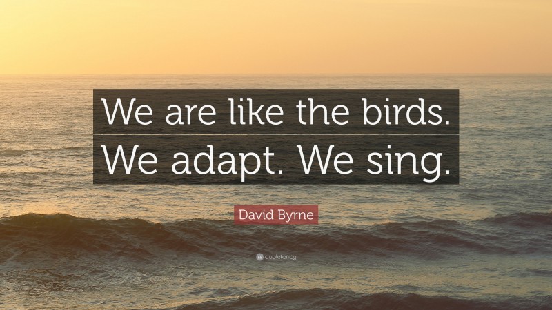 David Byrne Quote: “We are like the birds. We adapt. We sing.”