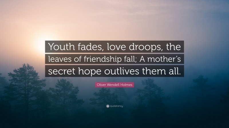 Oliver Wendell Holmes Quote: “Youth fades, love droops, the leaves of friendship fall; A mother’s secret hope outlives them all.”
