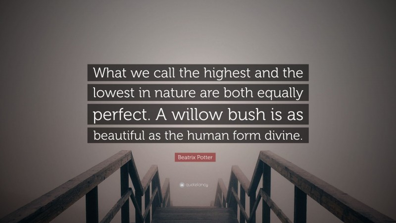 Beatrix Potter Quote: “What we call the highest and the lowest in nature are both equally perfect. A willow bush is as beautiful as the human form divine.”