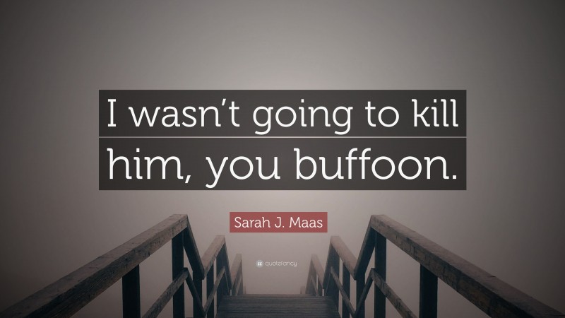 Sarah J. Maas Quote: “I wasn’t going to kill him, you buffoon.”