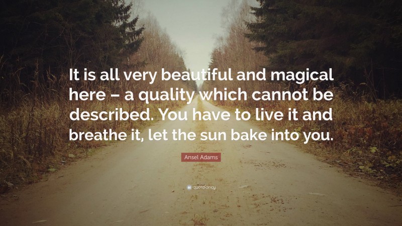 Ansel Adams Quote: “It is all very beautiful and magical here – a quality which cannot be described. You have to live it and breathe it, let the sun bake into you.”