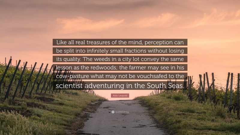 Aldo Leopold Quote: “Like all real treasures of the mind, perception can be split into infinitely small fractions without losing its quality. The weeds in a city lot convey the same lesson as the redwoods; the farmer may see in his cow-pasture what may not be vouchsafed to the scientist adventuring in the South Seas.”