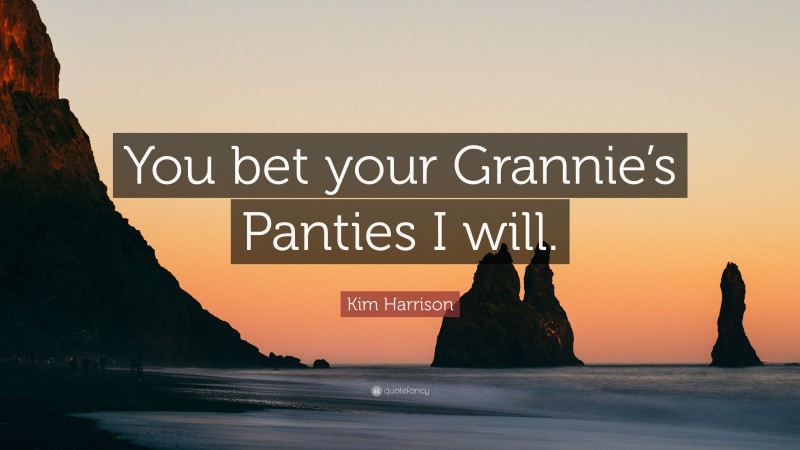 Kim Harrison Quote: “You bet your Grannie’s Panties I will.”