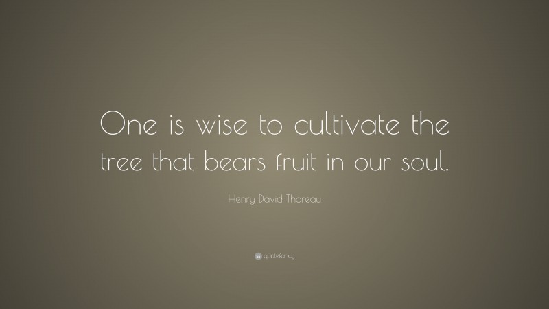 Henry David Thoreau Quote: “One is wise to cultivate the tree that bears fruit in our soul.”
