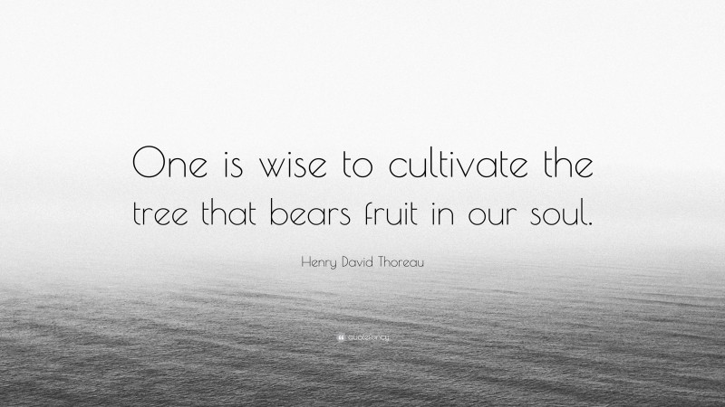 Henry David Thoreau Quote: “One is wise to cultivate the tree that bears fruit in our soul.”