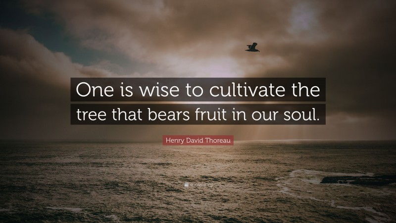 Henry David Thoreau Quote: “One is wise to cultivate the tree that bears fruit in our soul.”