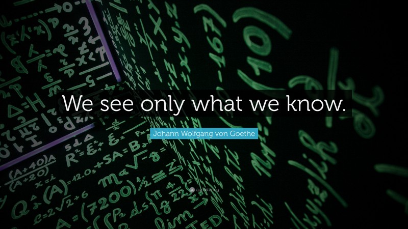 Johann Wolfgang von Goethe Quote: “We see only what we know.”