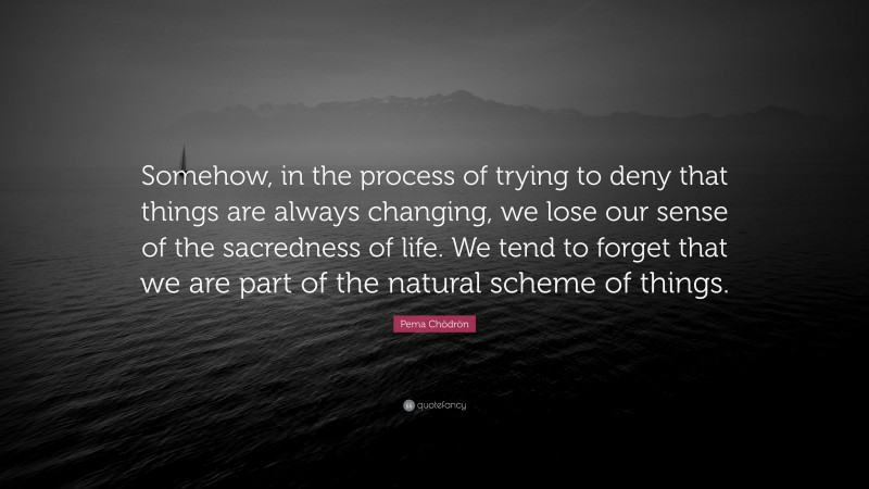 Pema Chödrön Quote: “Somehow, in the process of trying to deny that things are always changing, we lose our sense of the sacredness of life. We tend to forget that we are part of the natural scheme of things.”