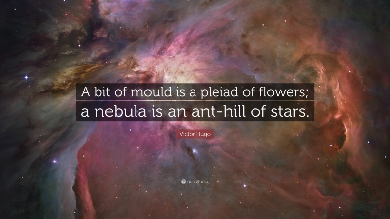 Victor Hugo Quote: “A bit of mould is a pleiad of flowers; a nebula is an ant-hill of stars.”