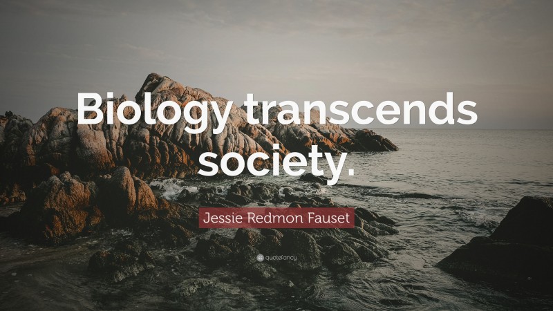 Jessie Redmon Fauset Quote: “Biology transcends society.”