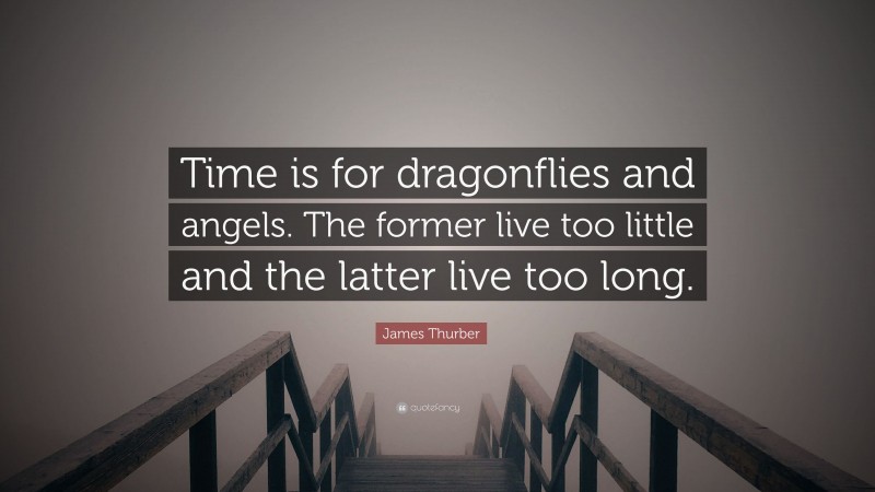 James Thurber Quote: “Time is for dragonflies and angels. The former live too little and the latter live too long.”