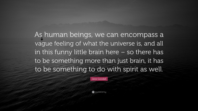 Jane Goodall Quote: “As human beings, we can encompass a vague feeling of what the universe is, and all in this funny little brain here – so there has to be something more than just brain, it has to be something to do with spirit as well.”