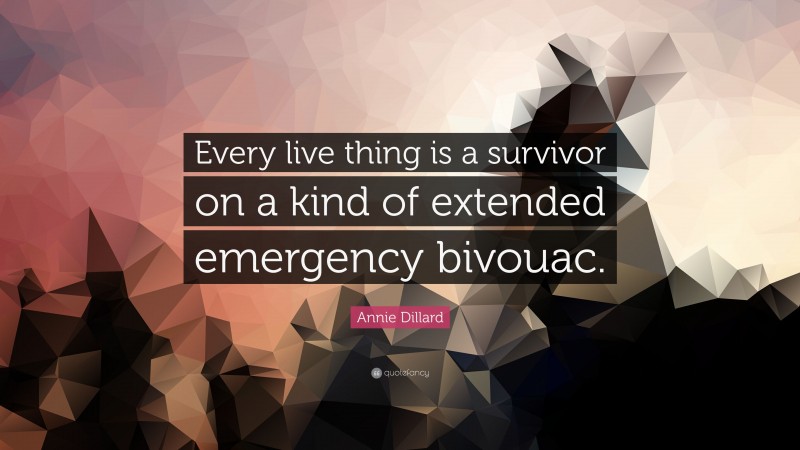 Annie Dillard Quote: “Every live thing is a survivor on a kind of extended emergency bivouac.”