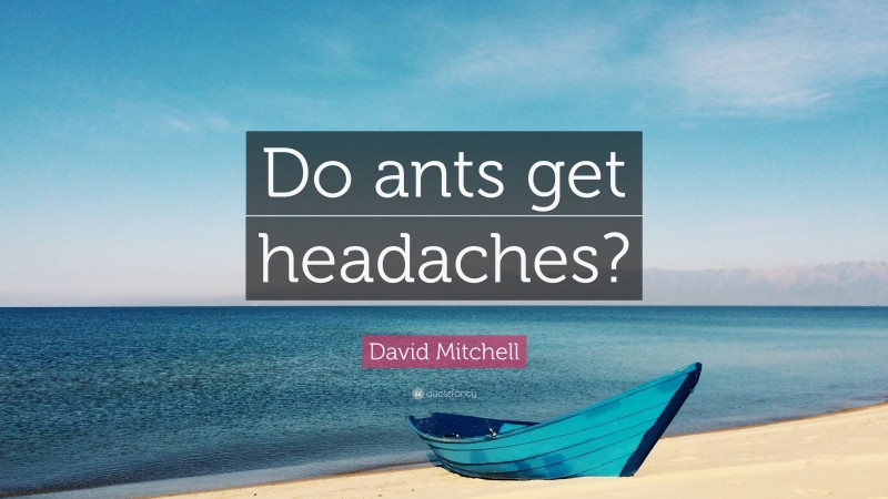 David Mitchell Quote: “Do ants get headaches?”