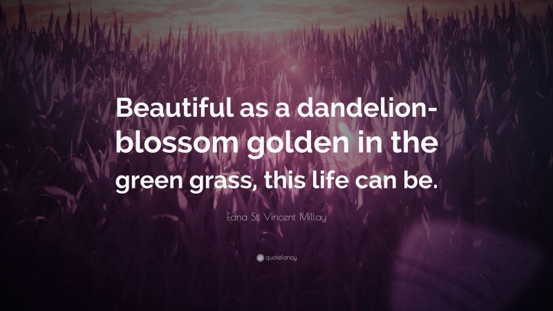 Edna St. Vincent Millay Quote: “Beautiful as a dandelion-blossom golden in the green grass, this life can be.”