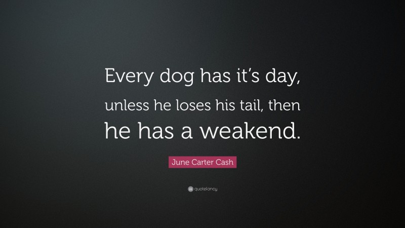June Carter Cash Quote: “Every dog has it’s day, unless he loses his tail, then he has a weakend.”