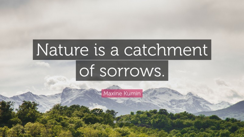 Maxine Kumin Quote: “Nature is a catchment of sorrows.”