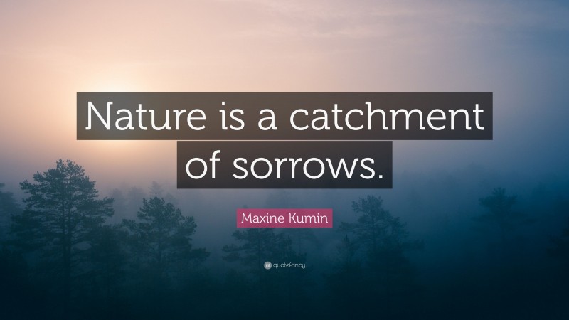 Maxine Kumin Quote: “Nature is a catchment of sorrows.”