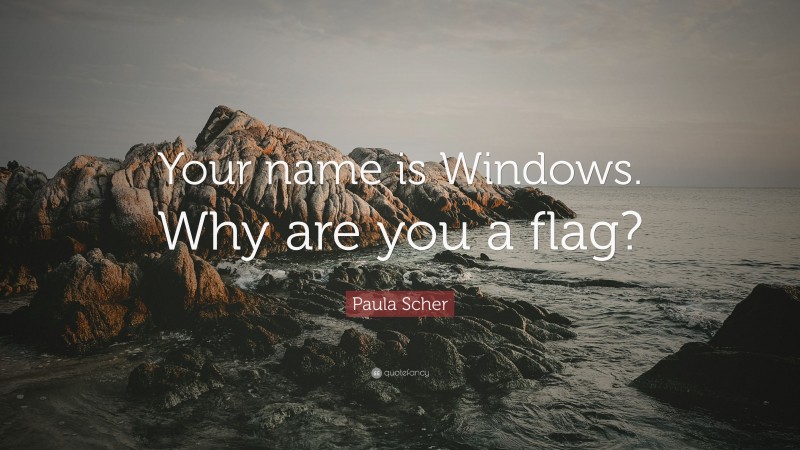 Paula Scher Quote: “Your name is Windows. Why are you a flag?”