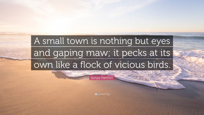 Sonya Hartnett Quote: “A small town is nothing but eyes and gaping maw; it pecks at its own like a flock of vicious birds.”
