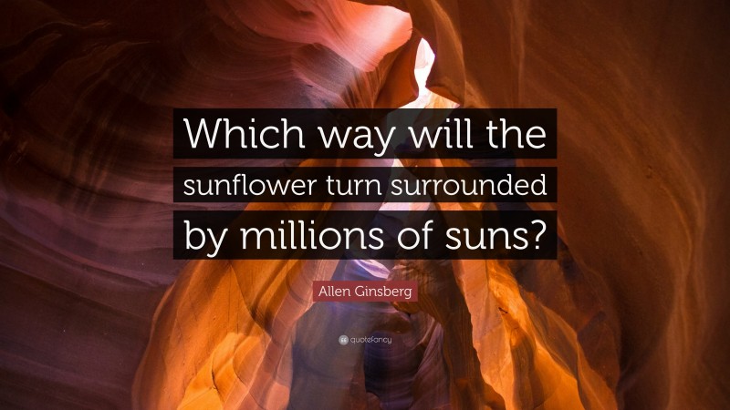 Allen Ginsberg Quote: “Which way will the sunflower turn surrounded by millions of suns?”