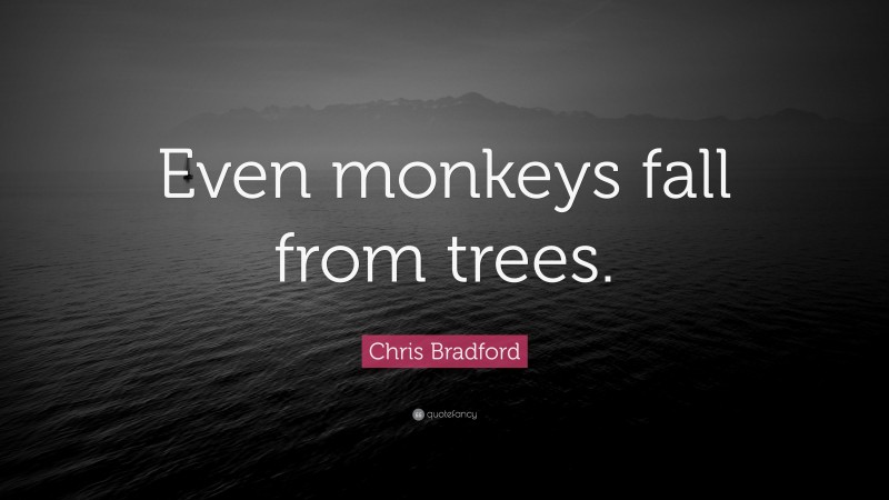 Japanese Proverb Quote: “Even monkeys fall from trees.”