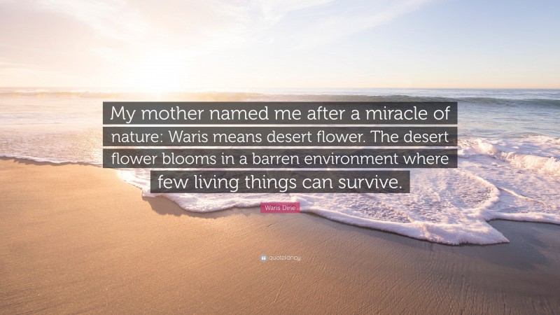 Waris Dirie Quote: “My mother named me after a miracle of nature: Waris means desert flower. The desert flower blooms in a barren environment where few living things can survive.”