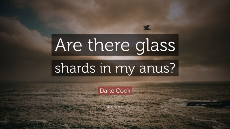 Dane Cook Quote: “Are there glass shards in my anus?”