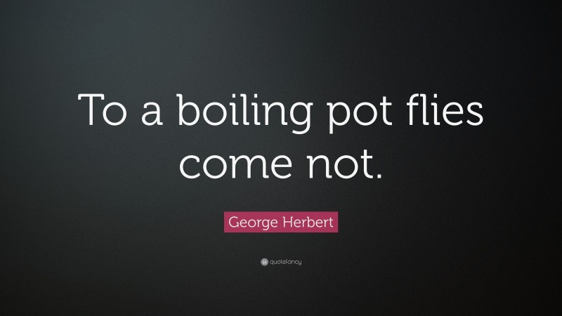 George Herbert Quote: “To a boiling pot flies come not.”