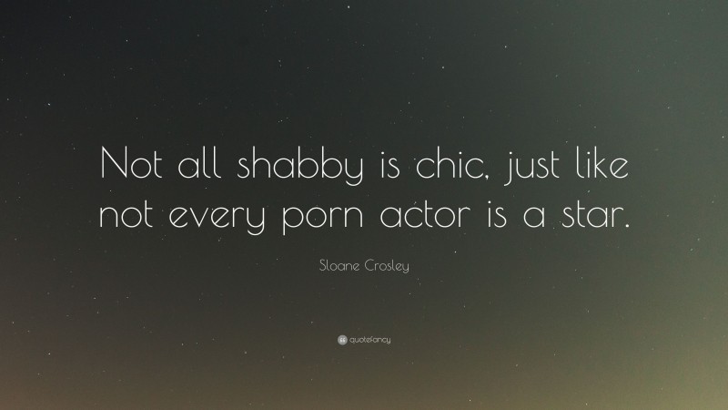 Sloane Crosley Quote: “Not all shabby is chic, just like not every porn actor is a star.”