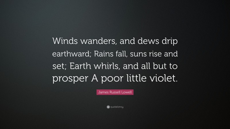 James Russell Lowell Quote: “Winds wanders, and dews drip earthward; Rains fall, suns rise and set; Earth whirls, and all but to prosper A poor little violet.”