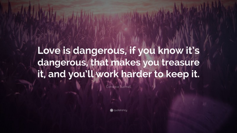 Candace Bushnell Quote: “Love is dangerous, if you know it’s dangerous, that makes you treasure it, and you’ll work harder to keep it.”