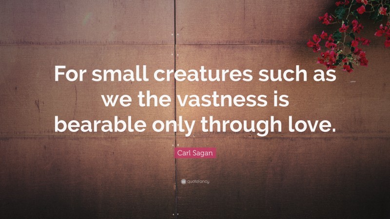 Carl Sagan Quote: “For small creatures such as we the vastness is bearable only through love.”