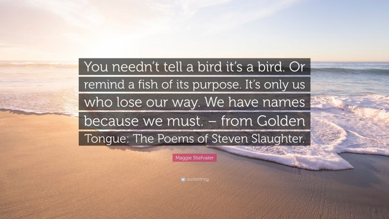 Maggie Stiefvater Quote: “You needn’t tell a bird it’s a bird. Or remind a fish of its purpose. It’s only us who lose our way. We have names because we must. – from Golden Tongue: The Poems of Steven Slaughter.”