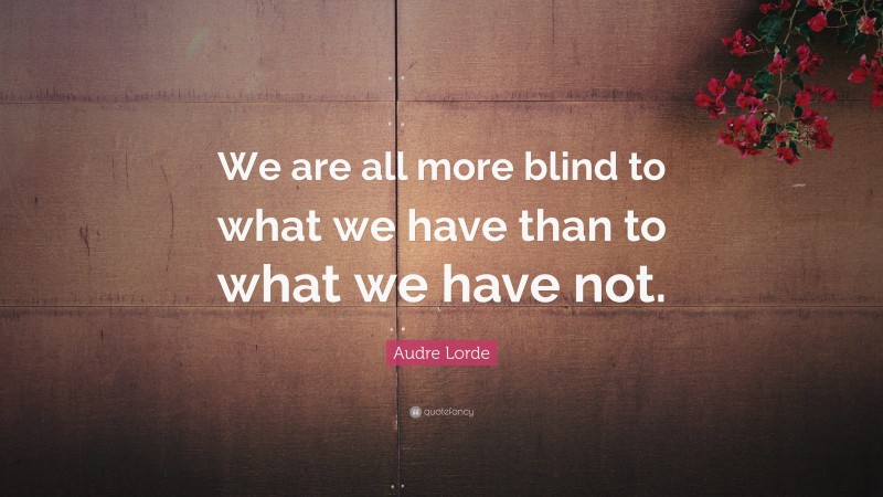 Audre Lorde Quote: “We are all more blind to what we have than to what we have not.”