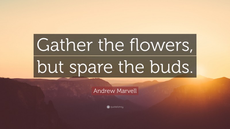 Andrew Marvell Quote: “Gather the flowers, but spare the buds.”