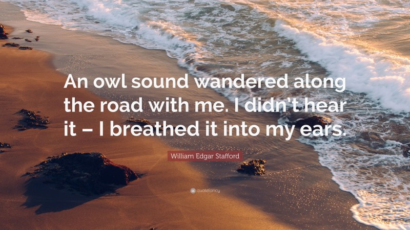 William Edgar Stafford Quote: “An owl sound wandered along the road with me. I didn’t hear it – I breathed it into my ears.”
