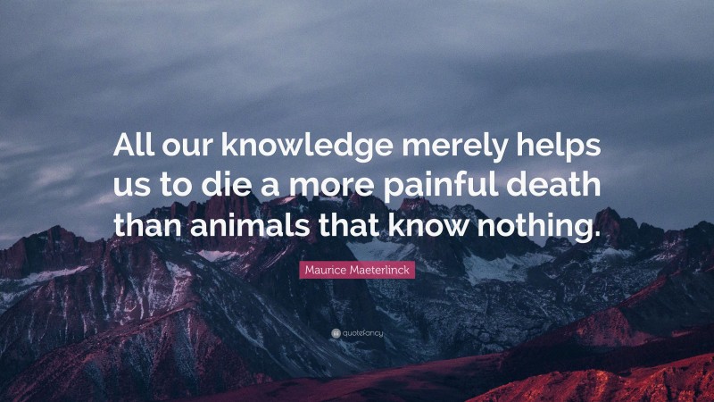 Maurice Maeterlinck Quote: “All our knowledge merely helps us to die a more painful death than animals that know nothing.”