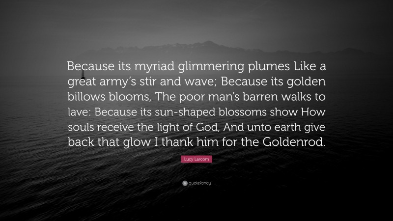 Lucy Larcom Quote: “Because its myriad glimmering plumes Like a great army’s stir and wave; Because its golden billows blooms, The poor man’s barren walks to lave: Because its sun-shaped blossoms show How souls receive the light of God, And unto earth give back that glow I thank him for the Goldenrod.”
