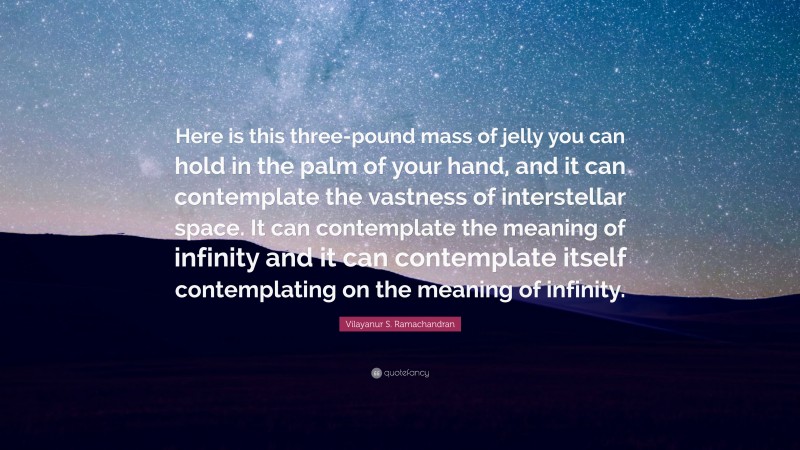 Vilayanur S. Ramachandran Quote: “Here is this three-pound mass of jelly you can hold in the palm of your hand, and it can contemplate the vastness of interstellar space. It can contemplate the meaning of infinity and it can contemplate itself contemplating on the meaning of infinity.”