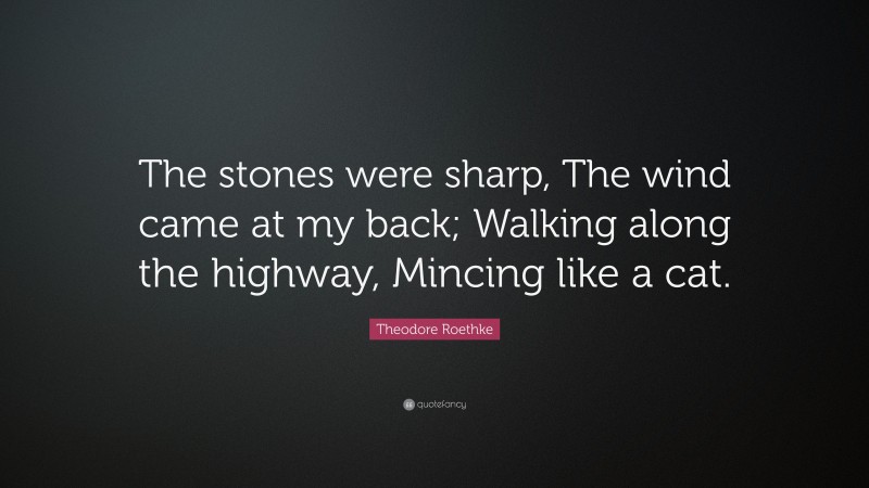 Theodore Roethke Quote: “The stones were sharp, The wind came at my back; Walking along the highway, Mincing like a cat.”
